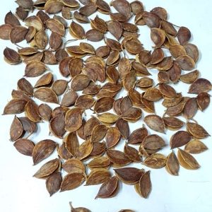 Fruto seco café x125grs