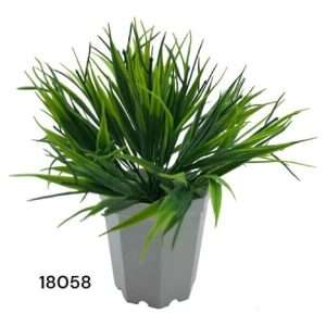 Pasto lacio c/maceta h16cm