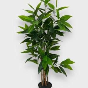 Mango arbol h140cm