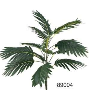 Palmera kentia h50cm