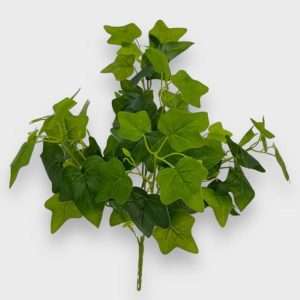 Hiedra planta h48cm