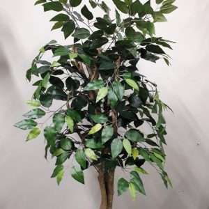 Arbol ficus c/tronco natural h120cm