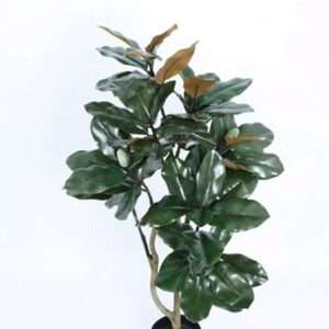 Gomero planta h100cm
